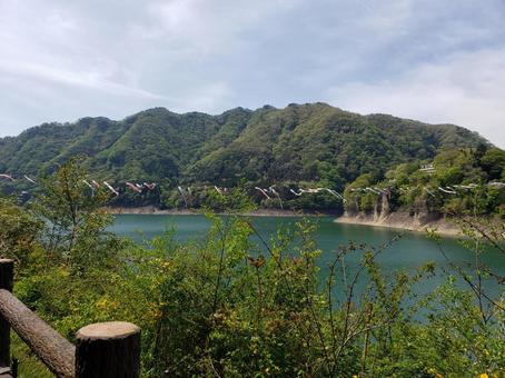 赤谷湖より 赤谷湖,相俣ダム,自然の写真素材