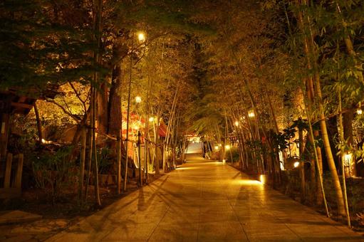 深夜の熱海、来宮神社参道 深夜の熱海、来宮神社参道の写真