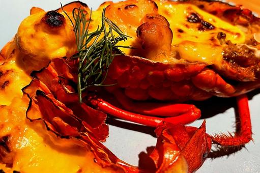 伊勢海老のグリル 伊勢海老のグリル 伊勢海老,伊勢えび,イセエビの写真素材