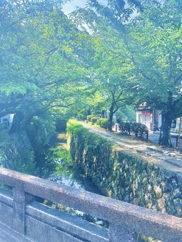 哲学の道 哲学の道の写真