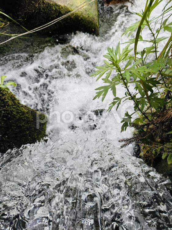 清水 川,名水,大清水の写真素材