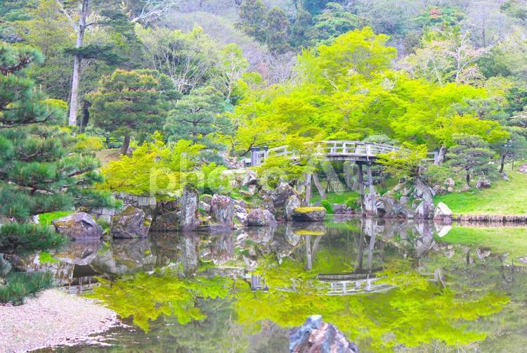 彦根城　玄宮園 日本庭園,玄宮園,彦根の写真素材