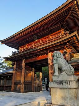 大山祇神社＠しまなみ海道大三島 大山祇神社,大三島,神社の写真素材