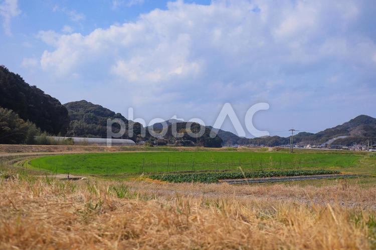 田園風景    糸島 田園風景,田舎,田んぼの写真素材