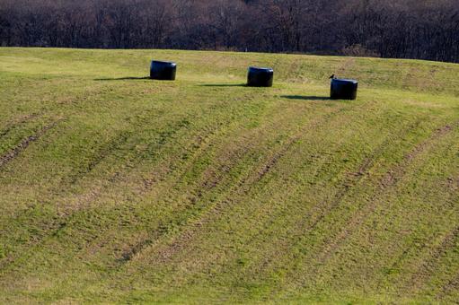 牧草地の斜面に並ぶ冬支度の黒い牧草ロール 丘陵,牧草ロール,牧場の写真素材