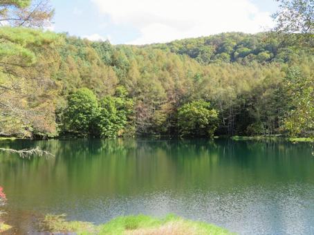 長野県茅野市奥蓼科の観光地の御射鹿池 長野県茅野市奥蓼科の観光地の御射鹿池 御射鹿池,長野県,茅野市の写真素材