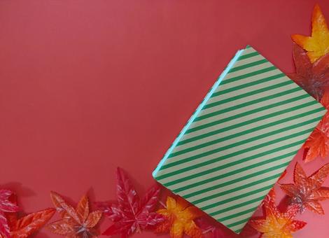 読書の秋 読書の秋 読書の秋,読書,秋の写真素材