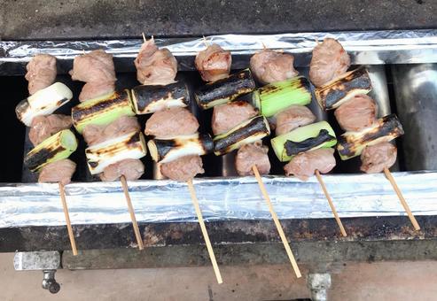 Photo, negima skewers, skewer, casilla skewers, 