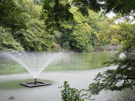 池の噴水 池の噴水 噴水,公園,自然の写真素材