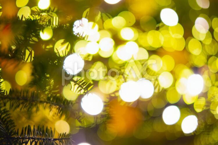 モミの木とイルミネーション クリスマス,イルミネーション,モミの木の写真素材