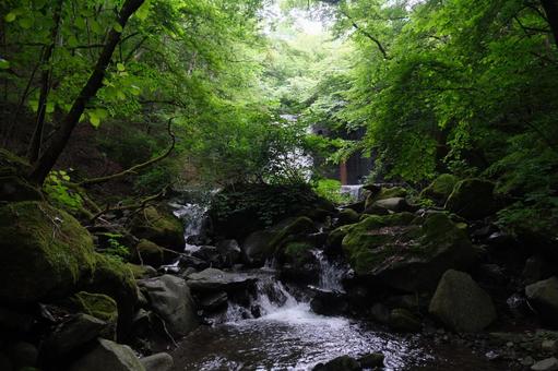 渓流 渓流の写真