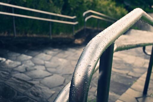 雨上がりの公園 雨上がりの公園の写真