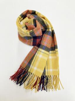 黄色のチェックマフラー マフラー,黄色,タータンチェックの写真素材