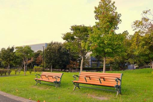 上総更級公園の「夕焼けに染まるベンチ」 ベンチ,椅子,上総更級公園の写真素材