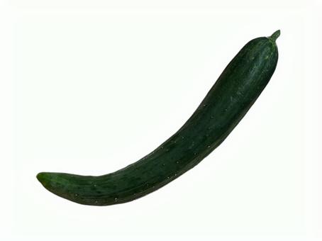 きゅうり　曲がったの写真