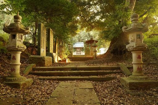 R296八千代市時平神社の参道(外→中) R296八千代市時平神社の参道(外→中)の写真