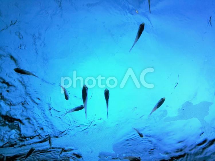 沖縄の青い海の背景／キラキラした水のテクスチャ 背景,テクスチャ,夏の写真素材
