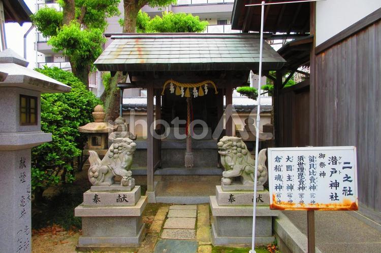大阪府-感田神社-二之社 感田神社,神社,二之社の写真素材