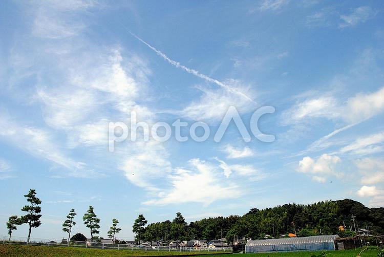 街路樹と里山の上に広がる夏空 空,夏空,青空の写真素材