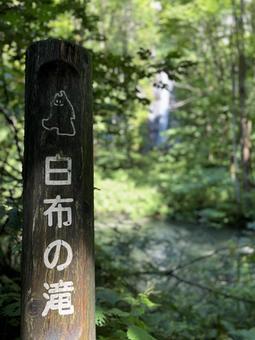 奥入瀬渓流 白布の滝 奥入瀬渓流 白布の滝の写真