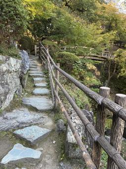石段 西の丸庭園,紅葉渓庭園,石段の写真素材
