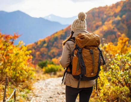 紅葉の山道をリュックで登る女性登山者 紅葉の山道をリュックで登る女性登山者の写真