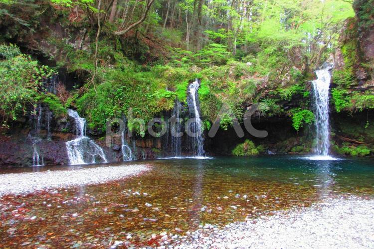 静岡県-陣馬の滝 陣馬の滝,滝,滝つぼの写真素材