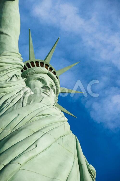 Statue of liberty アメリカ　自由の女神像　海外旅行 大統領選挙,コロナウイルス,nyダウの写真素材
