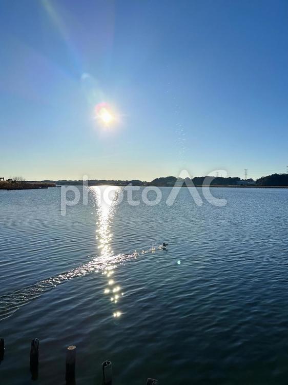 交差する朝日の道と水鳥の軌跡 風景,空,晴れの写真素材