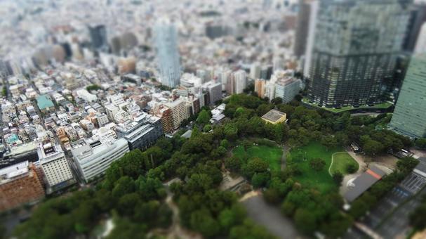 都庁展望室より公園撮影 都庁展望室より公園撮影の写真