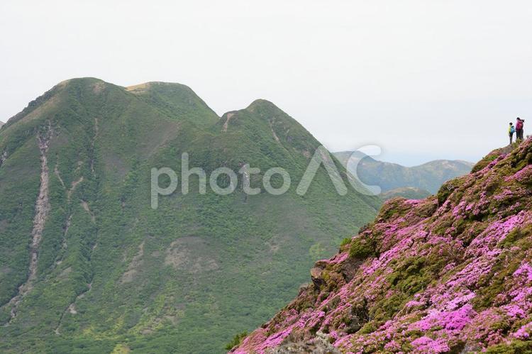 平治岳ミヤマキリシマと三俣山 山,風景,空の写真素材