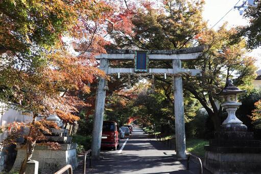 鷺森神社　鳥居 鷺森神社,鳥居,参道の写真素材