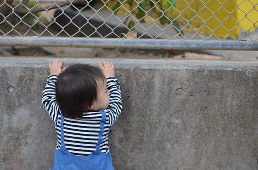 赤ちゃん 赤ちゃん 子供,赤ちゃん,可愛いの写真素材