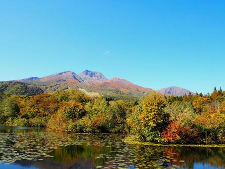 秋の景色１４ 秋,紅葉,鮮やかの写真素材
