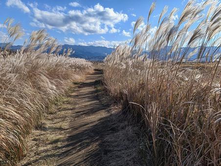 里山の秋道 里山の秋道の写真