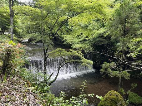 貴船川の写真