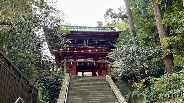 緑の中の寺 緑の中の寺 鳥居,久能山東照宮,神社の写真素材
