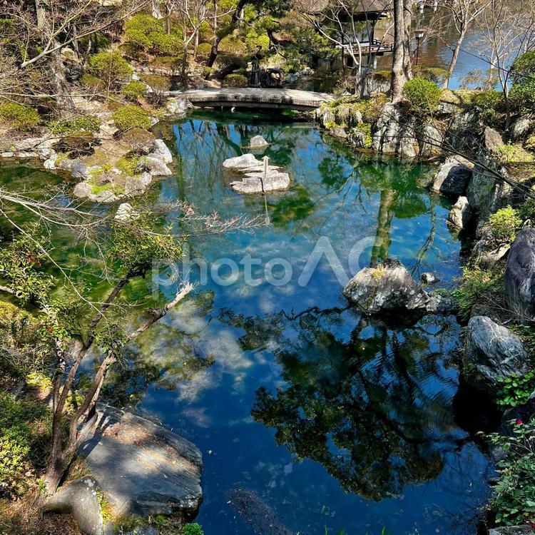 水面に写った木々たち 池,水面に写る木,癒しの写真素材