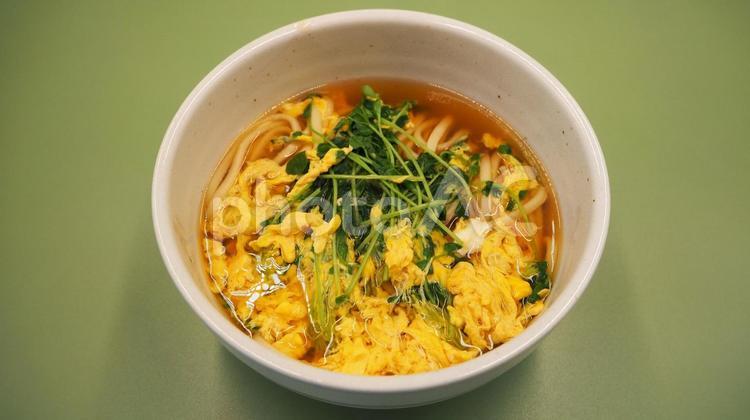 自家製・卵とじうどん（豆苗入り） 自家製,卵とじうどん,玉子の写真素材