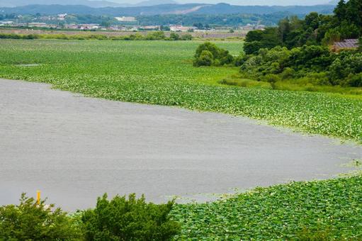 長沼の風景⑵ 長沼の風景⑵ 長沼,沼,天然湖の写真素材