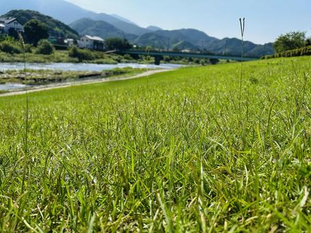 里帰り　田舎の川辺 夏の川辺,川,清流の写真素材