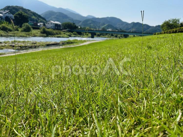 里帰り　田舎の川辺 夏の川辺,川,清流の写真素材