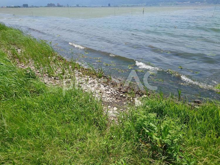 湖の波打ち際の風景 湖,波打ち際,雑草の写真素材