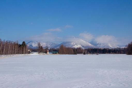 冬の牧場と然別の山々 冬の牧場と然別の山々 青空,雪山,雪原の写真素材