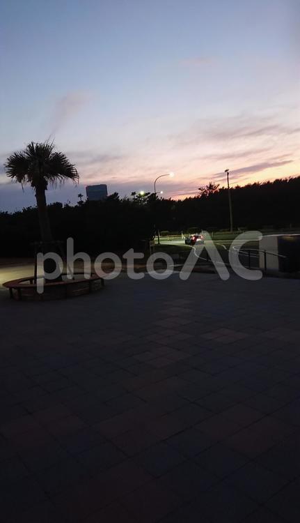 夕暮れ 宮崎,南国,ホテルの写真素材