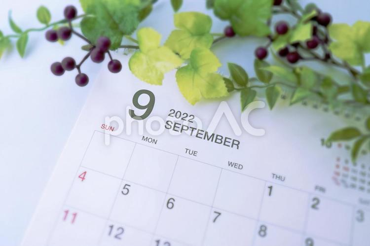 2022年9月のカレンダーと秋の植物１ 2022年,2022,9月の写真素材