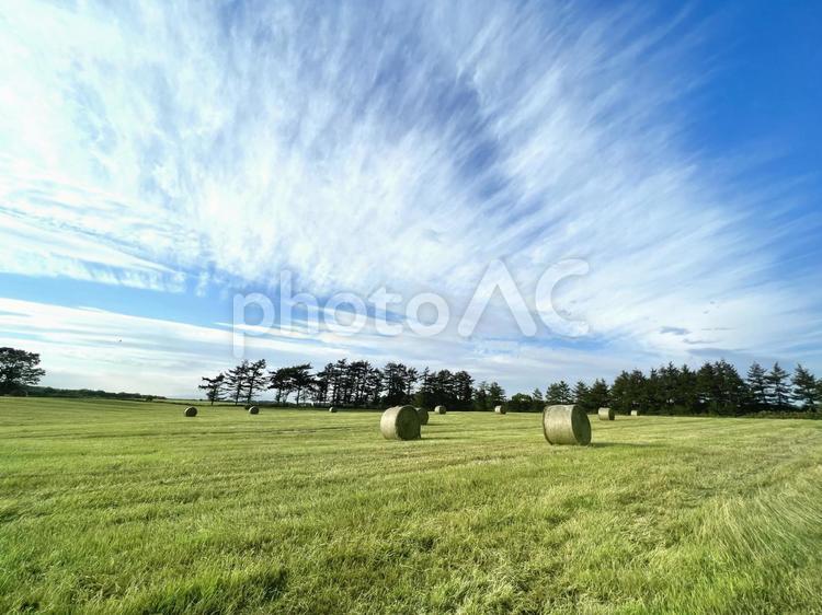 北海道の風景　牧草ロールと青空と草原 北海道,牧草ロール,青空の写真素材