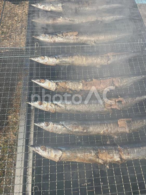 秋刀魚 魚,秋刀魚,焼き魚の写真素材