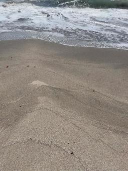 浜辺 浜辺の写真
