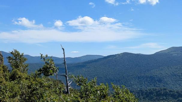 八幡平アスピーテライン  八幡平アスピーテラインの写真
